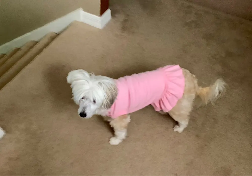 U5e203663fb8d40c89eaa8bbd6bfcbf80z