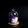 12*16cm Bamboo Base Different Top Glass Dome Vase Home Decoration Transparent Cover Wedding Live Prop DIY Friend Favor Gift 3