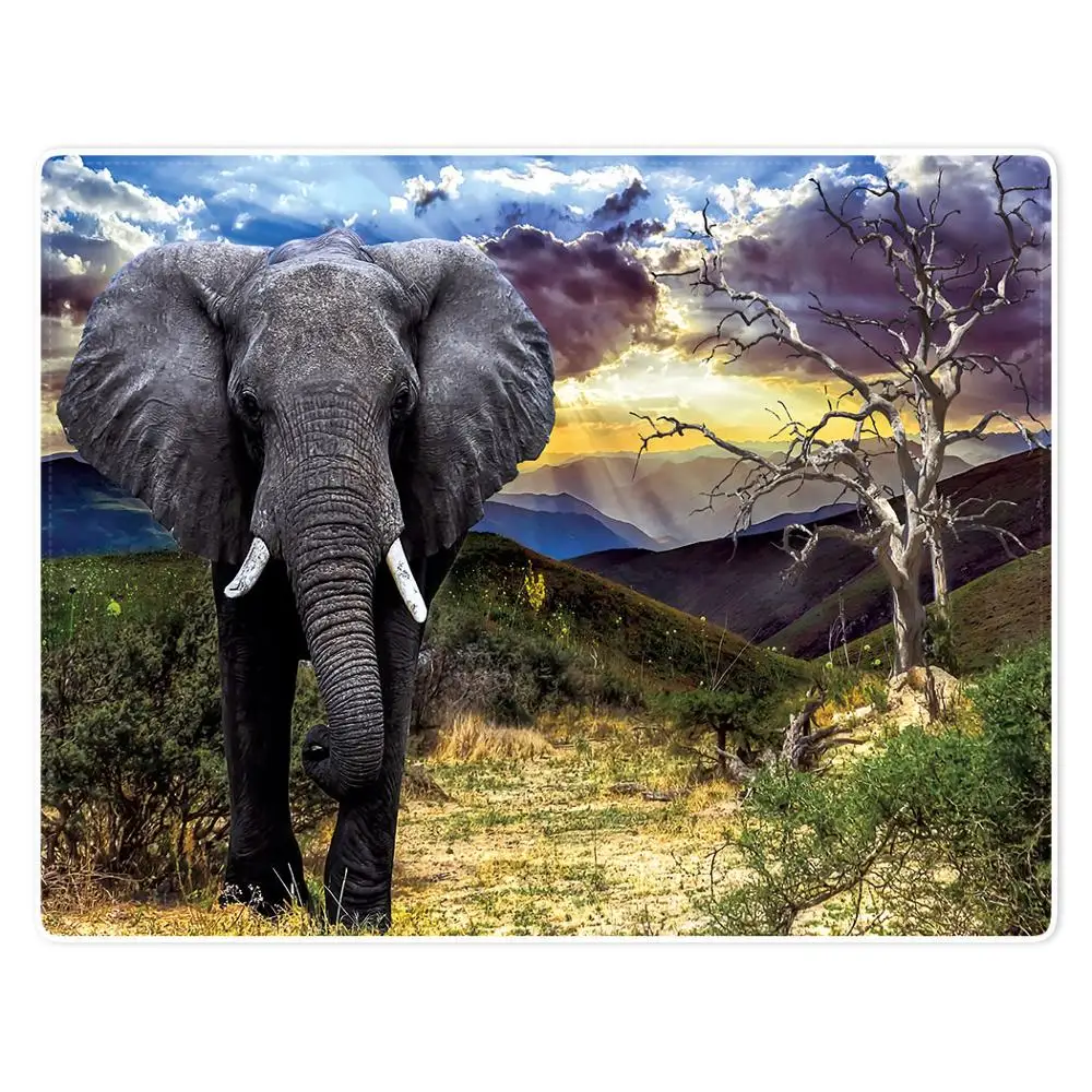 

HommomH Blanket Soft Comfort lightweight well made Nap Sofa Bed Travel Warm Plush Throw Steppe Elephant Tree Mountain Sky