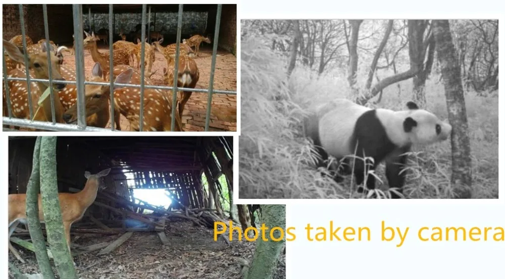 HTB1dPmwPFXXXXXEXXXXq6xXFXXXn