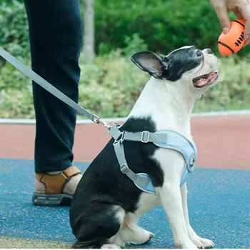 

Adjustable Pet Cat Dog Chest Vest Reflective For Small Medium Dog Collar Breathable Harness Vest Puppy Dogs Chest Strap Supplies