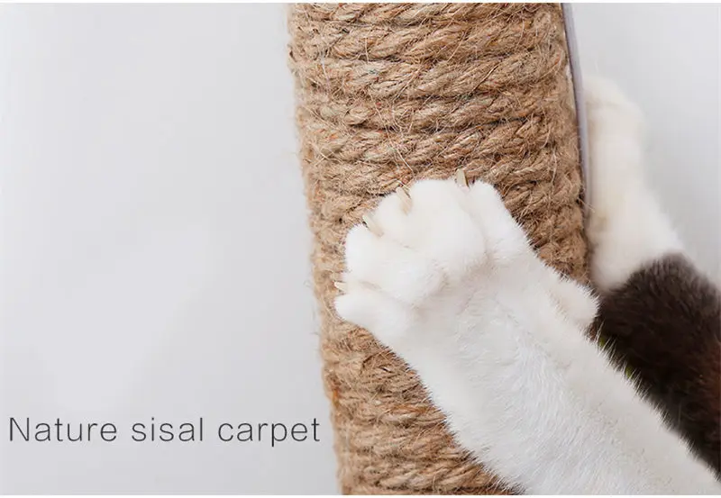 Hd966c90a504042db88b5fcd5398828045