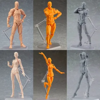 

Figma Archetype He She PVC Action Figure Human Body Joints Male Female Nude Movable Dolls Anime Models Collections Sketch Model