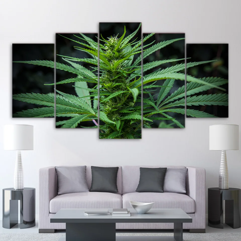 ArtSailing 5 piece canvas art HD print weed picture with the old man smoking painting for living room weeds poster home decor