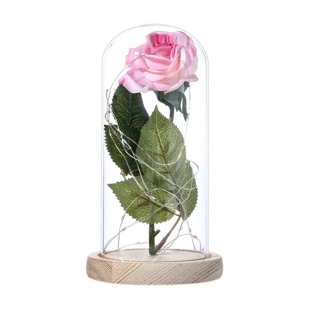 IMG_5597(20191220-181803)