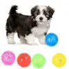 Dog Squeaky Toys Colorful Soft Rubber Luminous Pet Puppy Dog Chewing Playing Elastic Hedgehog Ball Toy Small Pet Supplies 1