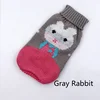 Gray Rabbit