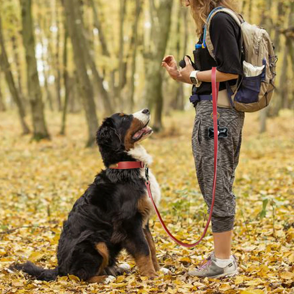 Trela de couro real, pet walking, guia