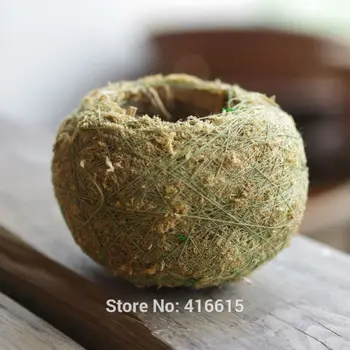 

Kokedama Moss Balls Bonsai Japanese Moss Ball With Moss Seeds Preserved Moss Balls Personality Small Flower Pot