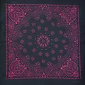 Black rose red