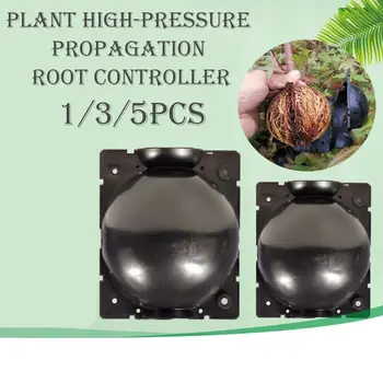 

Plant Rooting Grow Box Plant Root Propagation Ball Container Grafting Box to Root Booster Outdoor Garden Tools