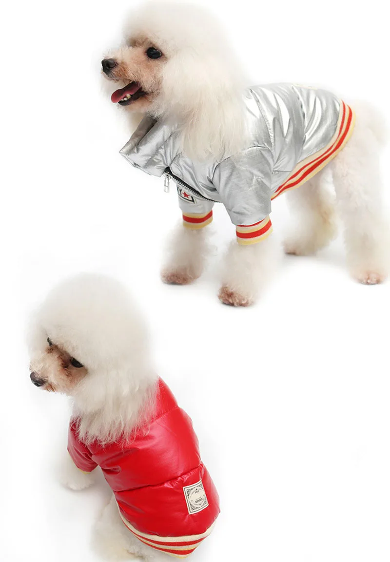 11222274081_1603432662