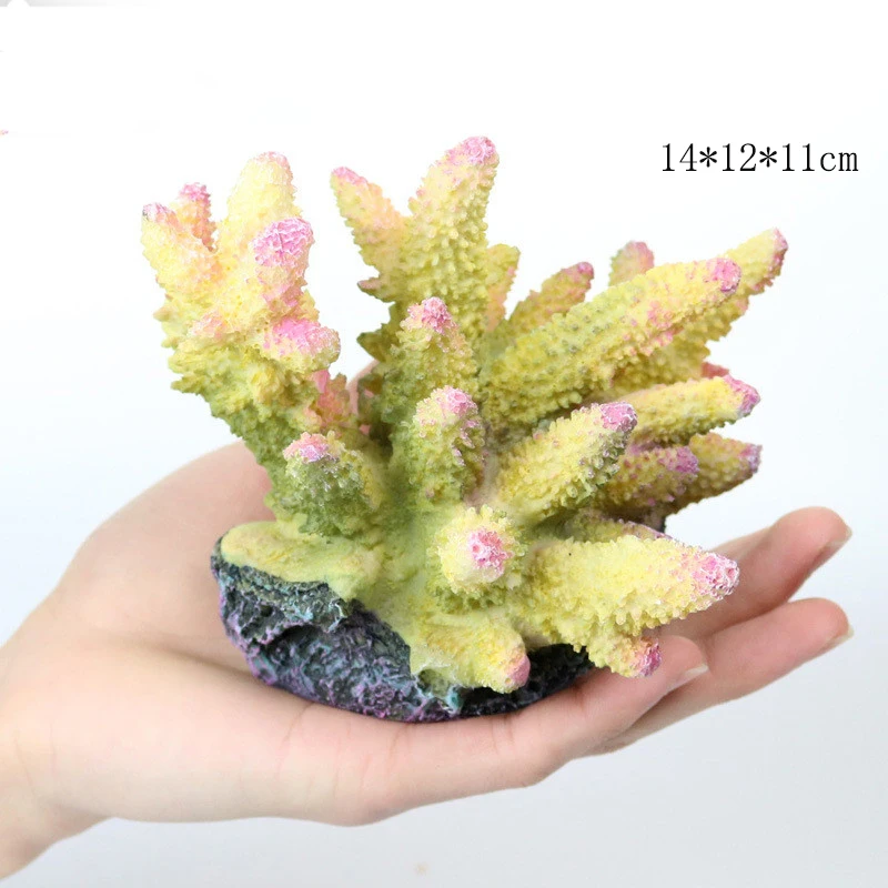 10245731167_917857823