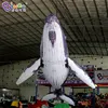 Factory Wholesale 3~12M Length Giant Inflatable Whale For Sale / 10 ft Inflatable Killer Whale Balloons - Toys 5