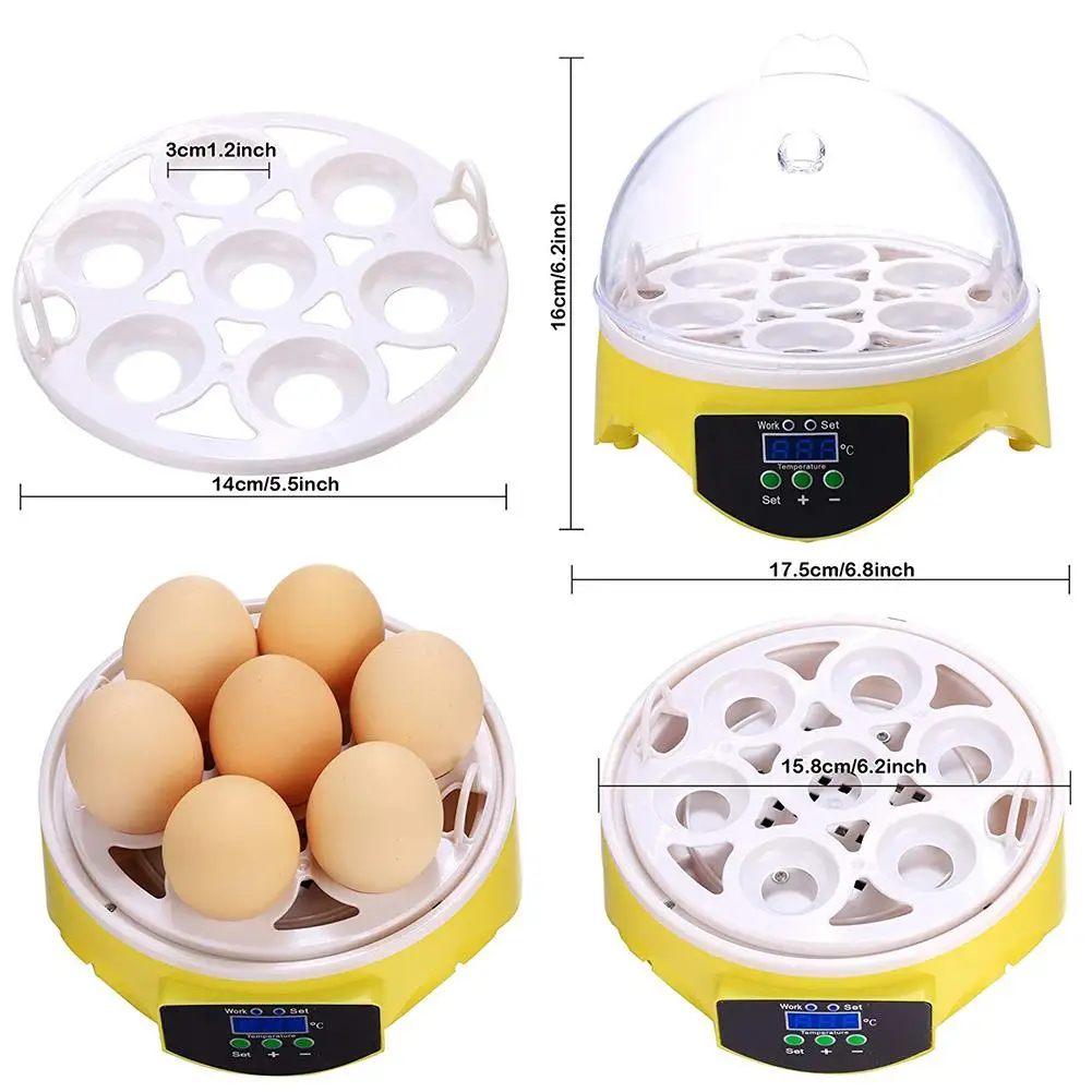 Miniincubadora de 7 huevos para aves de corral, Incubadora Digital de temperatura, para pollo, pato, pájaro y Paloma