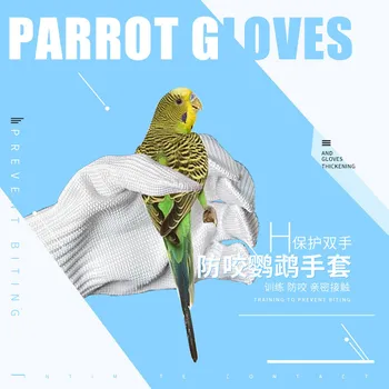 

Parrot Anti-bite Gloves Pet Catching Bird Flying Parrot Training Wire Gloves Prevent Biting Protect Hands Bird Training Supplies