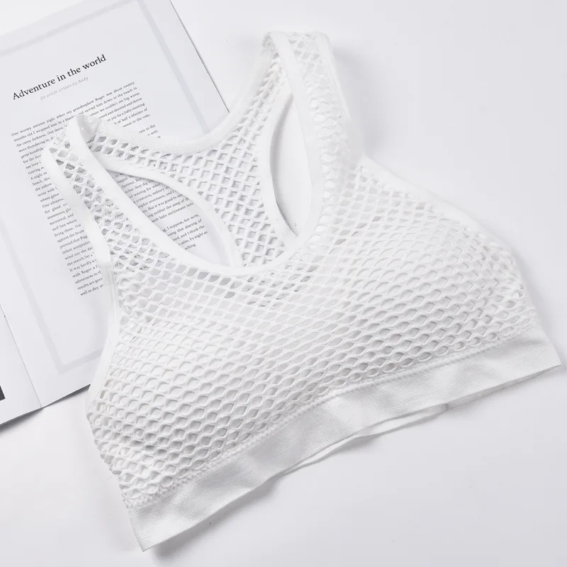 Mesh Sports Bra Hollow Out Sport Top Seamless Fitness Yoga Bras Women Gym Top Padded Running Vest Shockproof Push Up Crop Top Mesh Sports Bra Hollow Out Sport Top Seamless Fitness Yoga Bras Women Gym Top Padded Running Vest Shockproof Push Up Crop Top