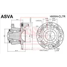 Ступица задняя с магнитным кольцом абс ASVA) ASVA HNWH-CL7R