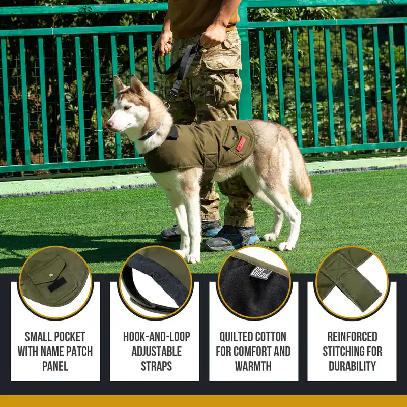 dog field jacket
