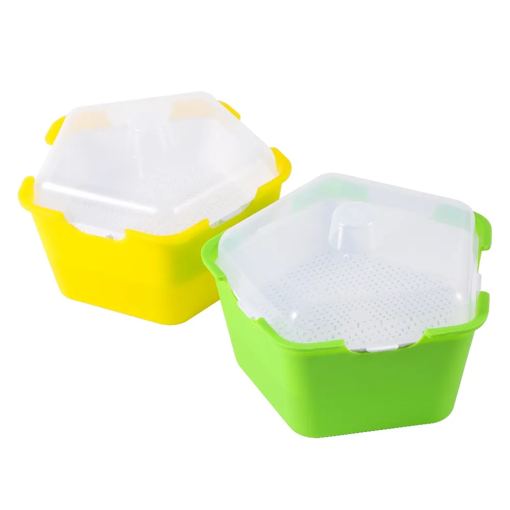 Pentagonal Plastic Sprout Planting Pot Box Bean Pea Sprouter Seedling Tray Wheat Grass Cat Grass Nursery Growing Germination Kit