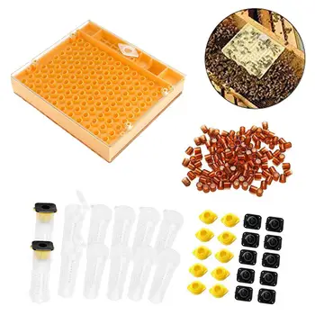 

Beekeeping Tool Set Queen Bee Cultivation System Incubator Box Without Moving Insect King Bee Cage 110 Production Cells