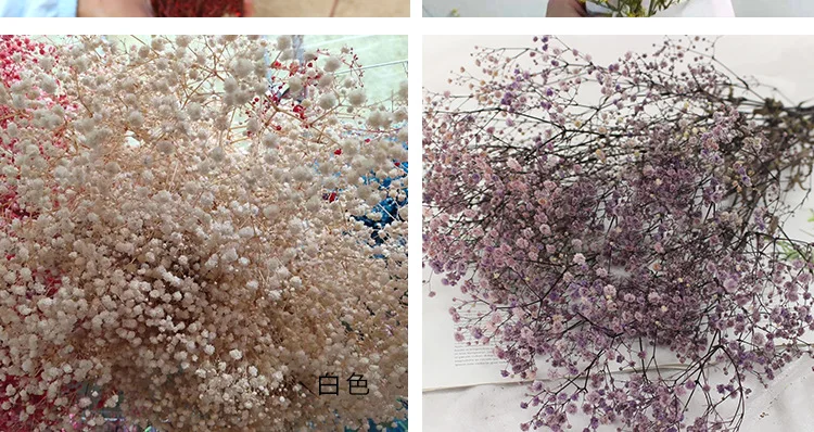 Natural Fresh Dried Preserved Flowers Gypsophila Paniculata,Baby's Breath Flower Bouquets Gift for Wedding Decoration,Valentines Natural Fresh Dried Preserved Flowers Gypsophila Paniculata,Baby's Breath Flower Bouquets Gift for Wedding Decoration,Valentines