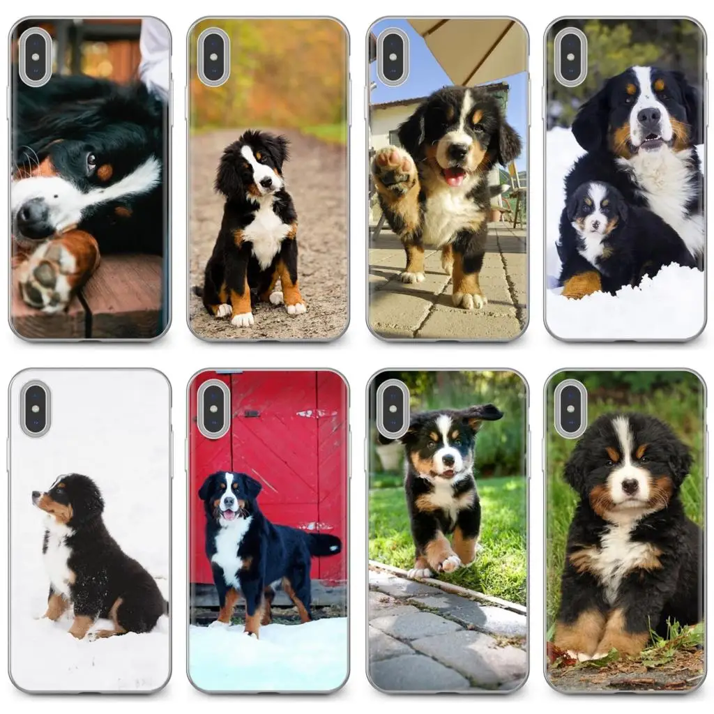 Силиконовый чехол для Xiaomi Redmi 4A 7A S2 Note 8 3 3S 4 4X 5 Plus 6 7 6A Pro Pocophone F1 Berner Sennen Dog Bernese Mountain |