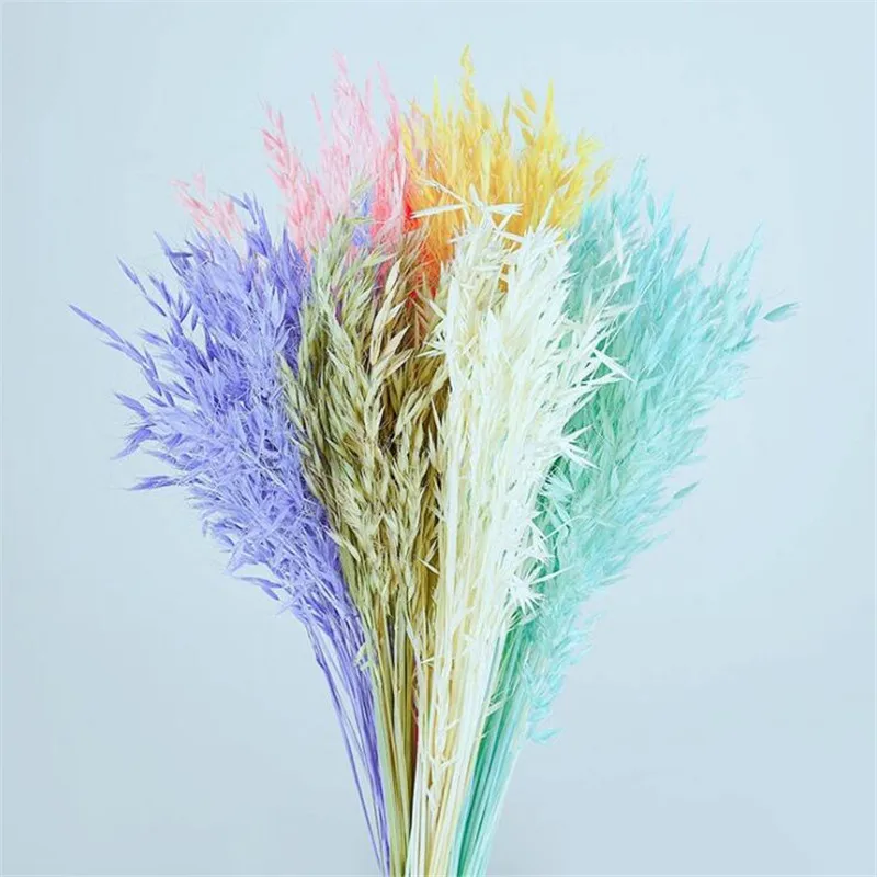 QQ截图20200425205926