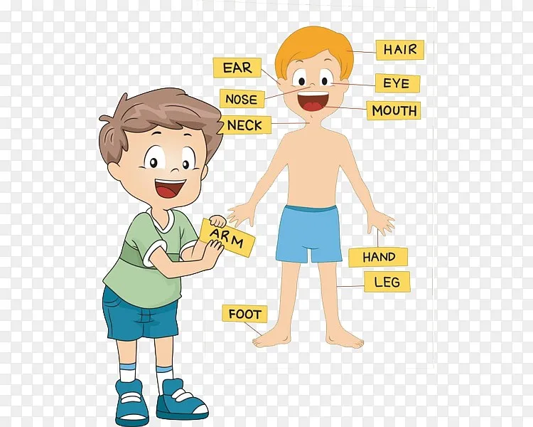 小男孩示意身体部位png图片素材免费下载 图片编号ygeogpln Pngbag素材网
