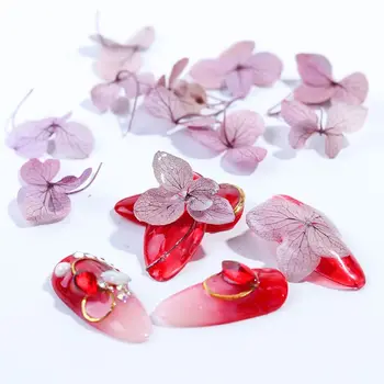 

Dried Flowers DIY Epoxy Resin Handmade Crafts Filling Materials R9JE