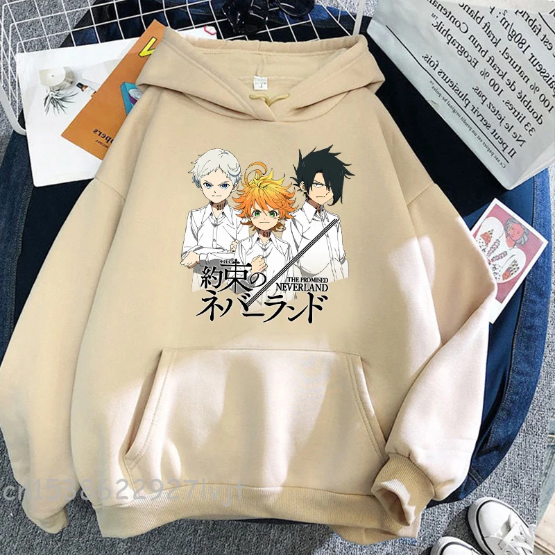 Рисунок 3 - Весенняя Толстовка с принтом обещания Neverland