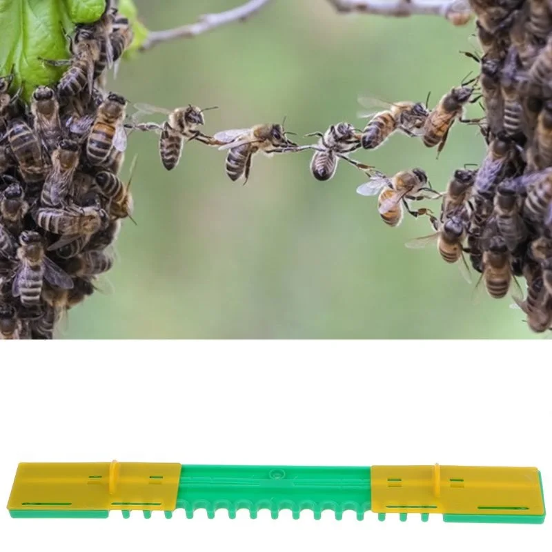 Set Of 5 Plastic Beehive Entrance Travel Door Nest Breeding Beekeeper Supply Set Of 5 Plastic Beehive Entrance Travel Door Nest Breeding Beekeeper Supply