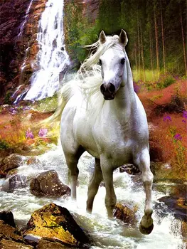 White horse running in a stream painting by numbers kit