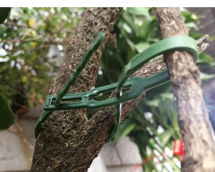 Tuteur Plante,Attaches de câble pour plantes de jardin,ajustables,flexibles,pour soutenir les