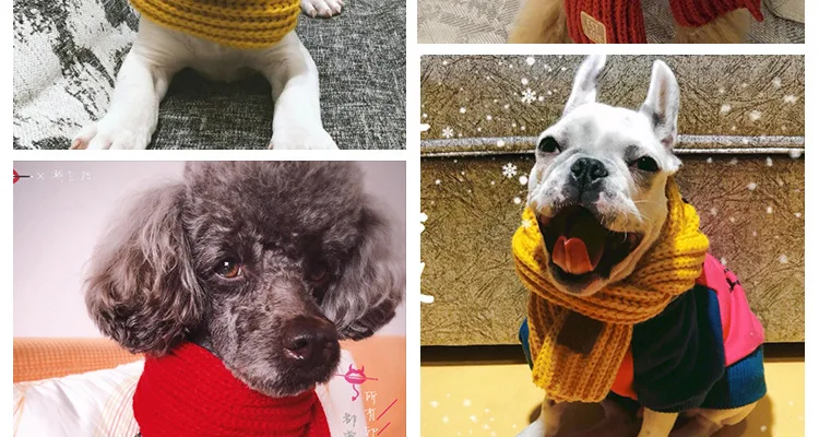 12553012683_547539500