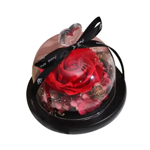 Сохраненный цветок розы стекло купол крышка орнамент День Святого Валентина подарок украшение - Цвет: Красный