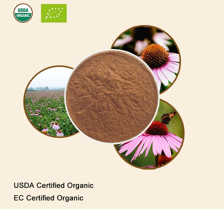 100% Natural Echinacea Purpurea Extract Powder 20:1 | Красота и - Цена: US $14.45 - 62.61