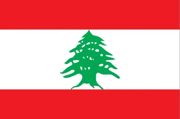 Five Lebanon, Подлинные памятные нотки, оригинальная коллекция