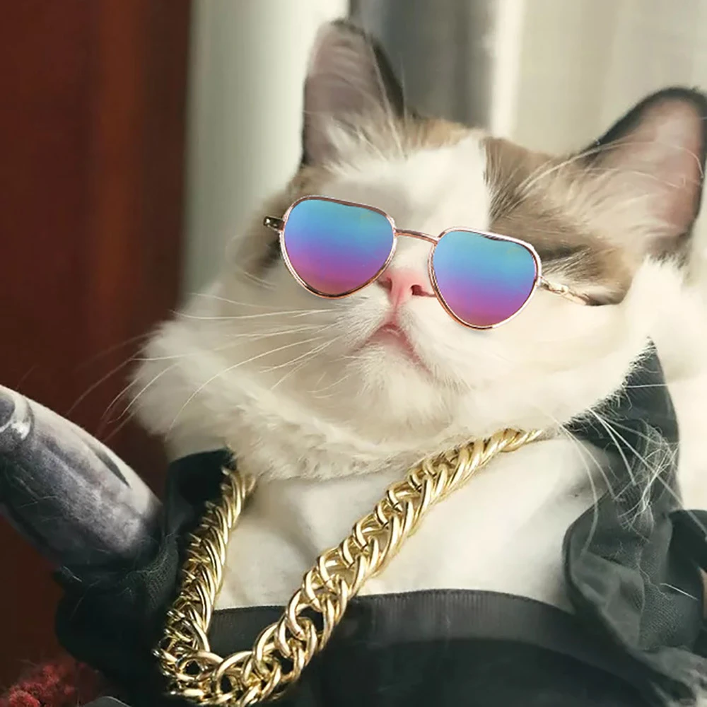 Punk Pet Cat Glasses Dog Eyewear Sunglasses For Small Dogs Chihuahua Party Cosplay Disguise Funny Photo Props Accessories Cat Accessories Aliexpress