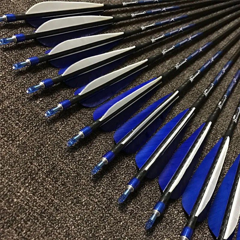 303557_no-logo_303557-3-12-g