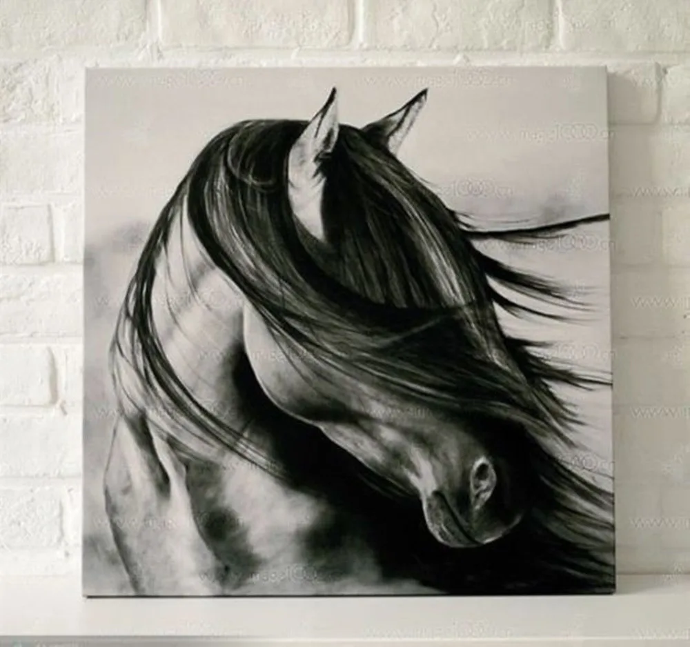 

Abstract Hand Painted Oil Painting Canvas Wall Decor black white horse no frame