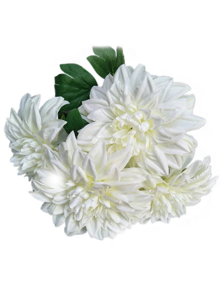 YYPA0057-YYPA0062-CS