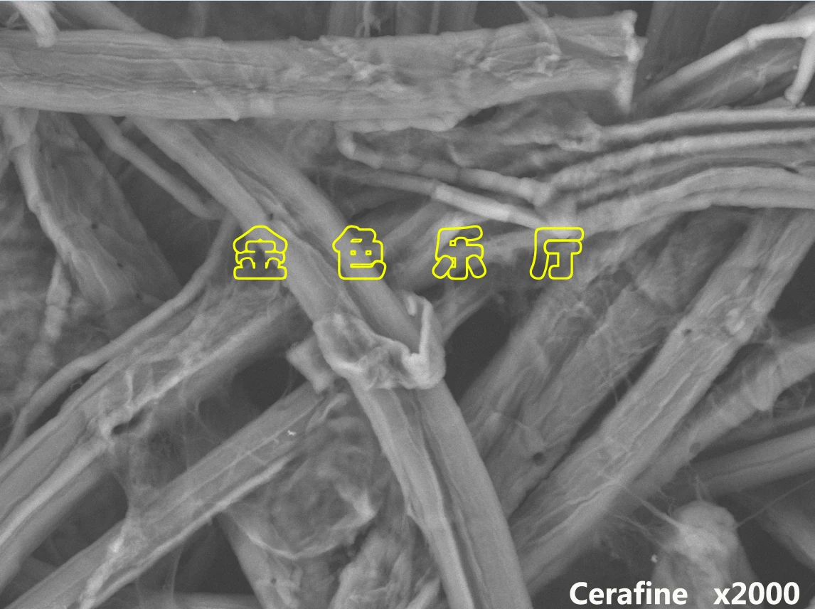 20 штук 100 мкФ/100 V ELNA Cerafine Цвет Черный; Каблук 16x26 аудио-электролитический конденсатор с алюминиевой крышкой