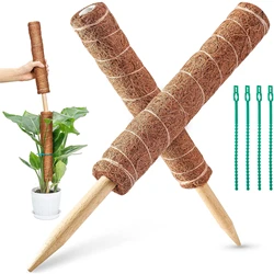 Poteau Totem en mousse de coco pour centre commercial Pothos, pour Monstera et plantes grimpantes d'intérieur, pour Support de plantes 