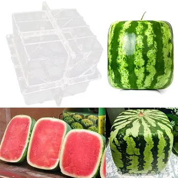 

Garden Supplies Forming Shaping For Fruit Big Size Tool Transparent Watermelon Growing Mold Nursery Pot Heart Square Home Fixed
