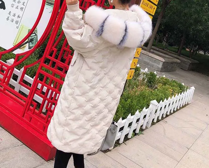 O1CN01X60stk1VrOIgjDhqt_!!510362706