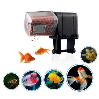 

Automatic Fish Feeders 175ml For Aquarium Turtle Tank Programmable Timer Auto Fish Food Dispenser WIFI Control Feeding Device