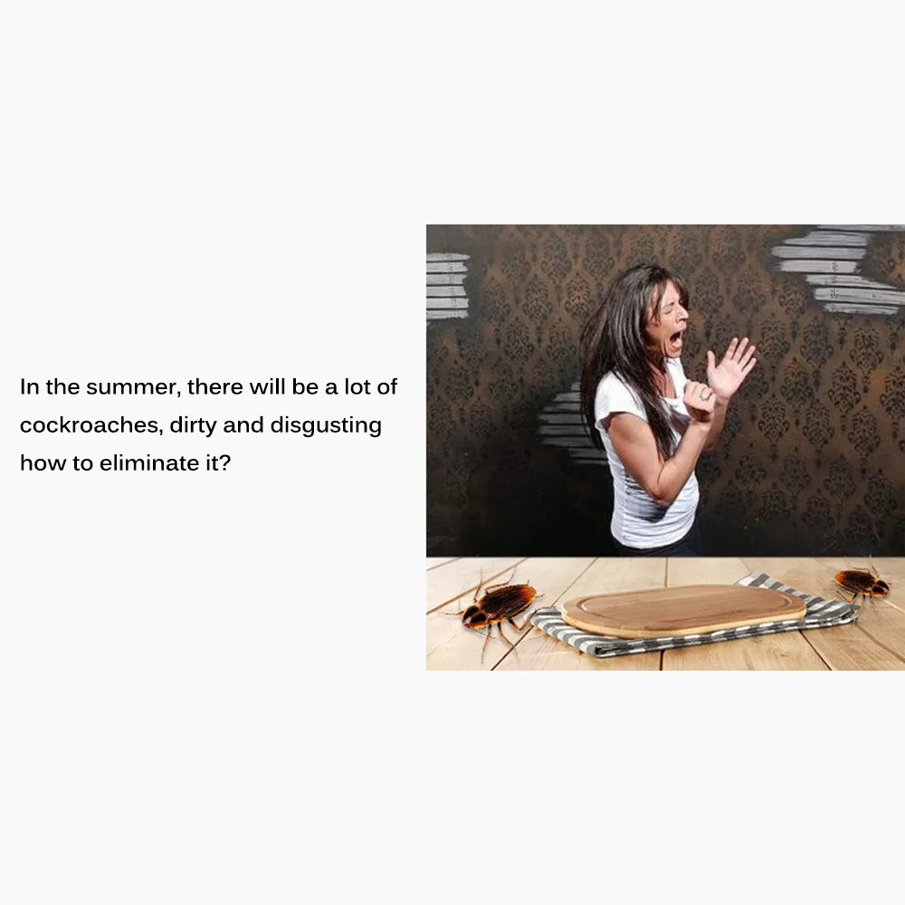 Ловушка для тараканов Pitfall House Killer Жук Насекомое чистая приманка Catch Home Pest control Roach Black Beetle Blackbeetle Room
