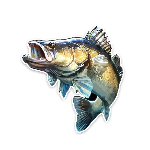 How To Bass Fishwaterproof Pvc Car Sticker - Deep Sea Bass Fishing Decal  For Bumper & Laptop