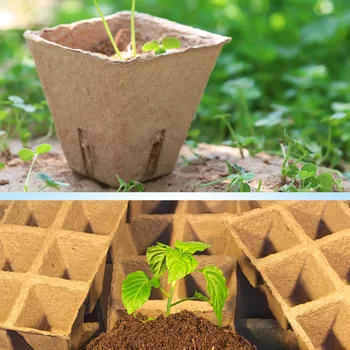 

10-Cell Biodegradable Paper Pulp Peat Pots Seedling Cup Seeds Starter Germination Tray Herb Nursery Cup Home garden Cultivation